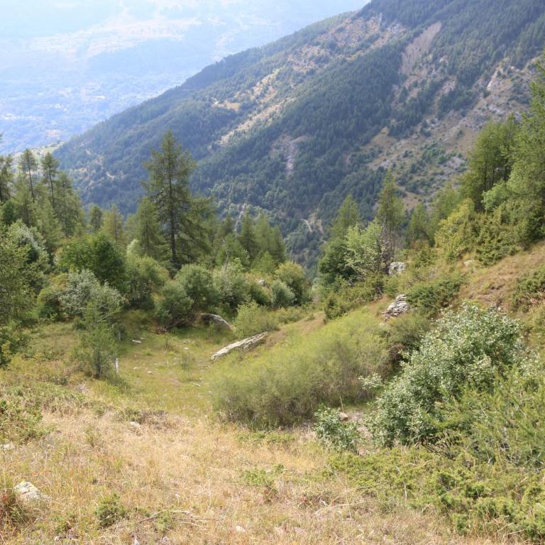 Appartement au départ des remontées mécaniques - Briançon - Appartement 1 Chambre - 39