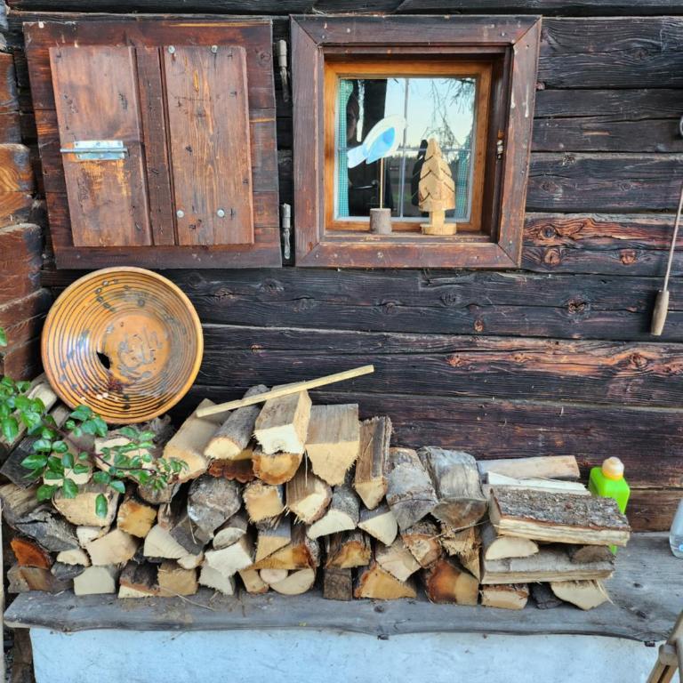 Urige Waldbienenhütte - Apartment mit 1 Schlafzimmer - 37