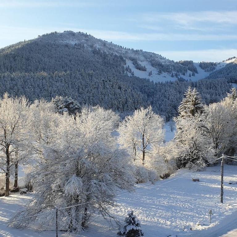 SCI jsm - Studio mit Bergblick - 15