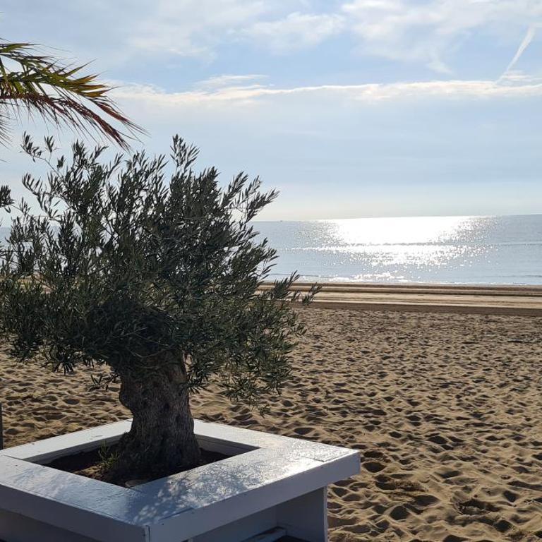 Adria Beach Apartment - Appartamento con Terrazza - 33