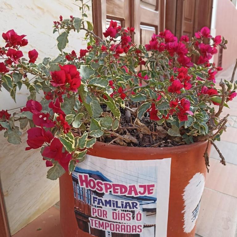 La Casa de Mamá Tere - Apartamento de 3 dormitorios - 70