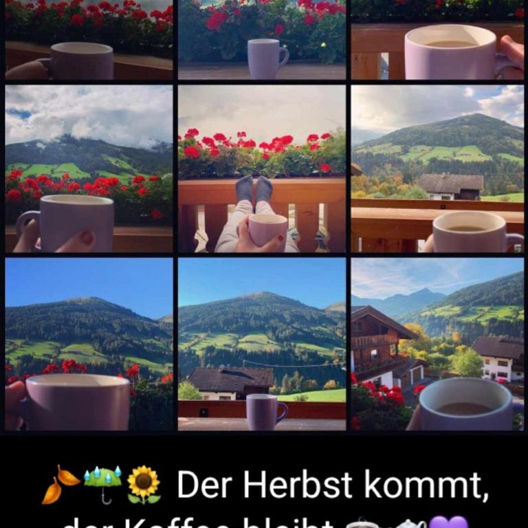 Haus Raimund " KLEIN aber FEIN " - Apartment mit Blick auf die Berge - 50