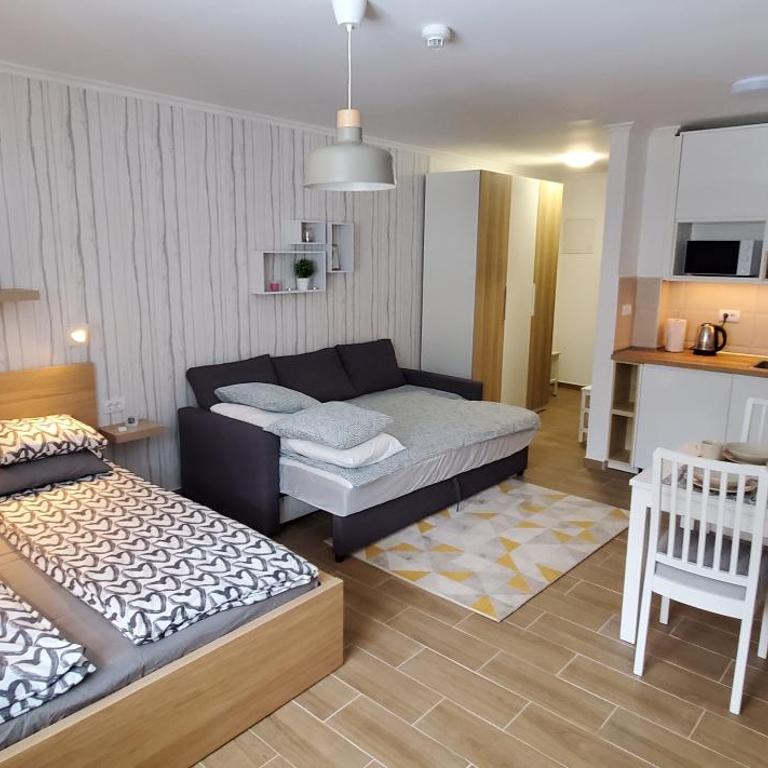 BelinaKop - Kopaonik Centar - One-Bedroom Apartment - 7