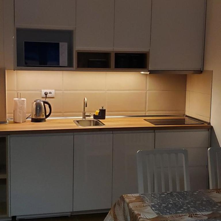 BelinaKop - Kopaonik Centar - One-Bedroom Apartment - 15
