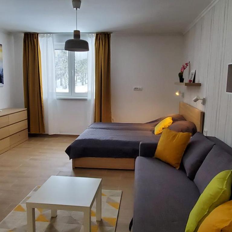 BelinaKop - Kopaonik Centar - One-Bedroom Apartment - 16
