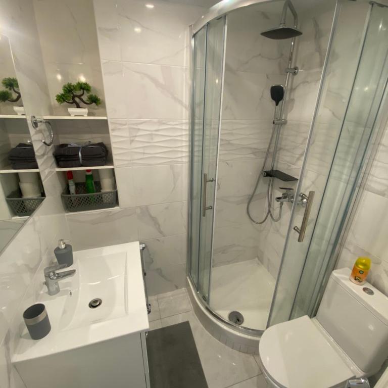 Studio sur avenue jean médecin à Nice - Appartement 1 Chambre - 4