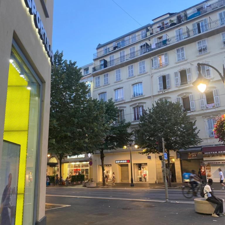 Studio sur avenue jean médecin à Nice - Appartement 1 Chambre - 5