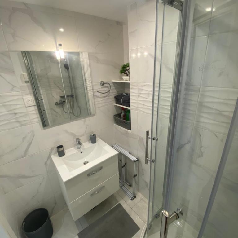 Studio sur avenue jean médecin à Nice - Appartement 1 Chambre - 13
