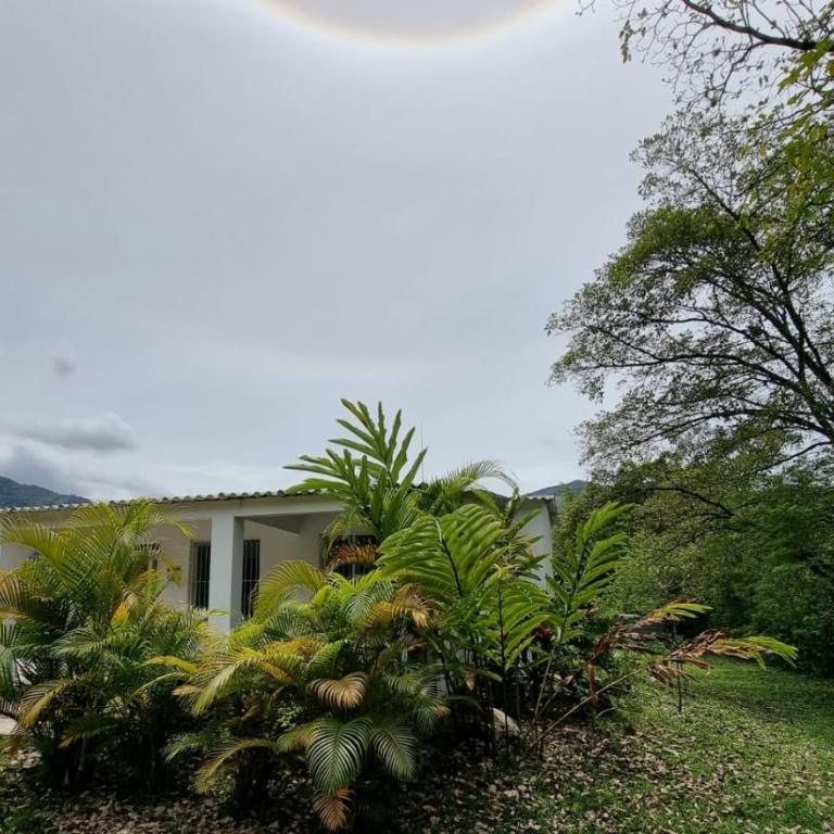 VILLETA, CASA CAMPESTRE CERCA DE PAYANDE - Three-Bedroom House - 35