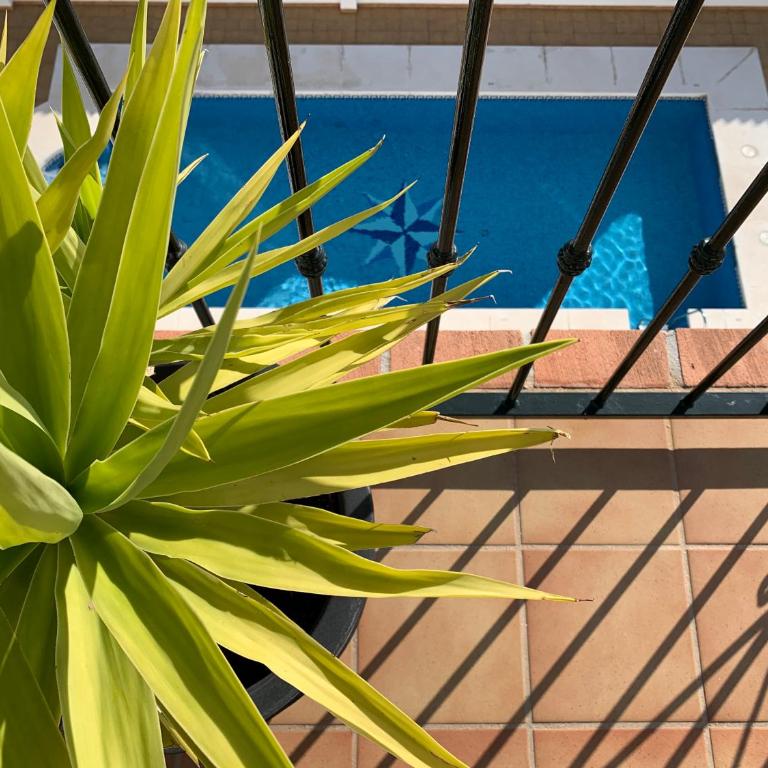 Playa Burriana, Stor terass, havsutsikt, pool - Apartamento de 2 dormitorios - 4