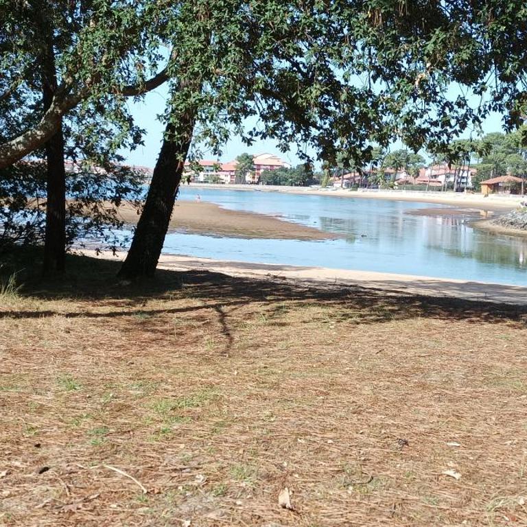 chalet Le Ticaco Soustons plage avec WiFi satellite - Mobile Home - 10
