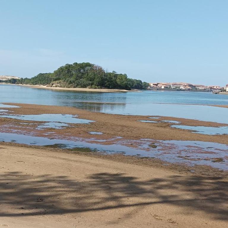 chalet Le Ticaco Soustons plage avec WiFi satellite - Mobile Home - 12