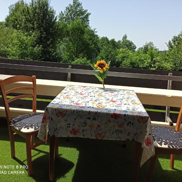 Berghof Studio Haus Rachel mit Pool - Apartment mit 1 Schlafzimmer - 10