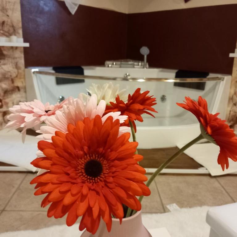 Villa Laura Apartment - Appartamento Deluxe - 4
