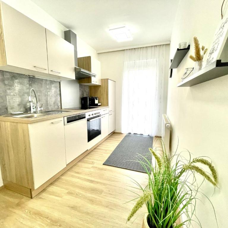 Pension Maier - Studio-Apartment - 9