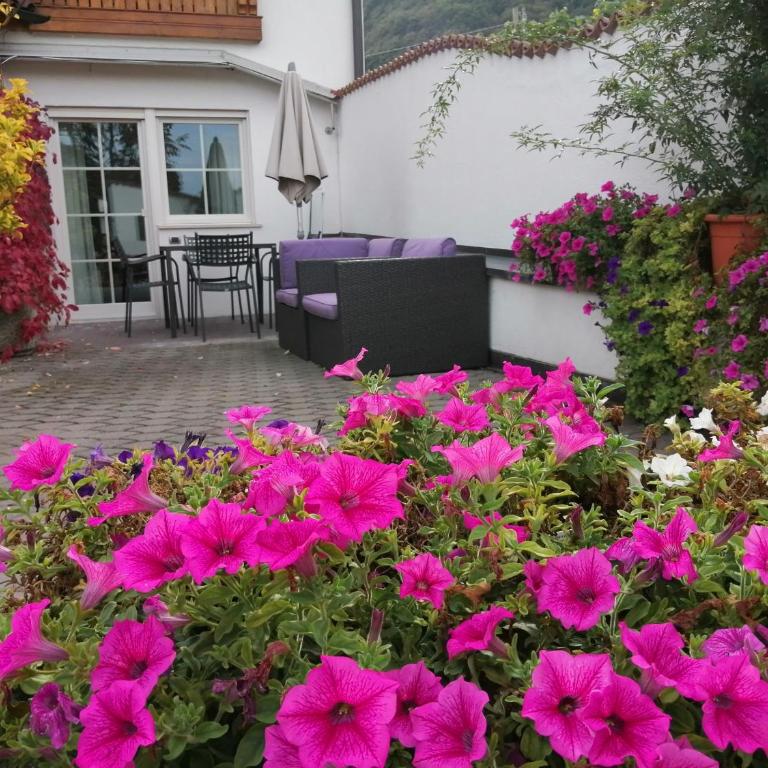 Residence Roland - Appartamento - 3