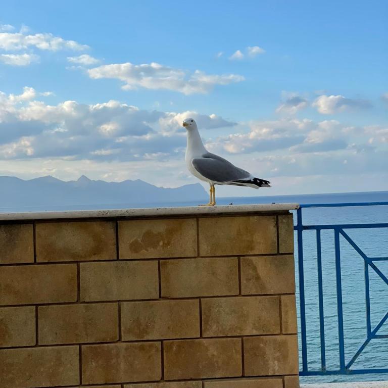 Appartamento Ponente - Apartamento de 2 dormitorios - 13