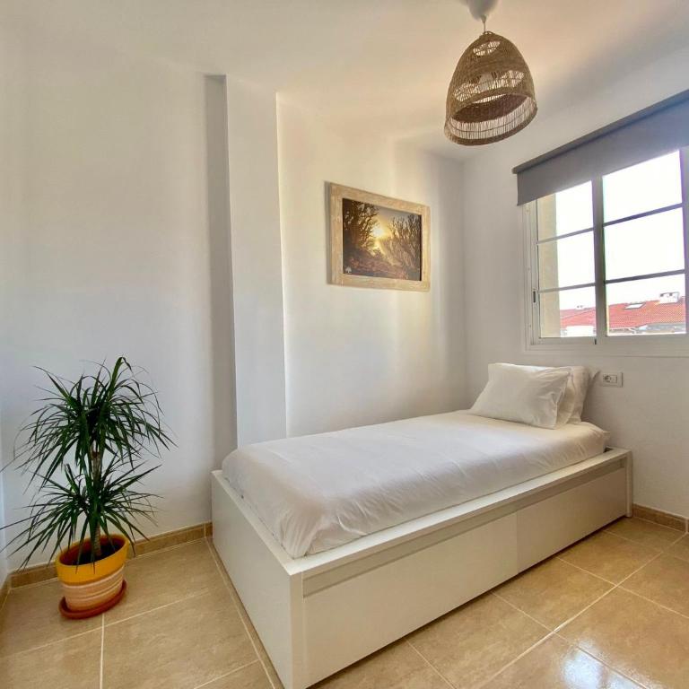 Medano Beach - Villa Playa - Casa de 4 dormitorios - 28