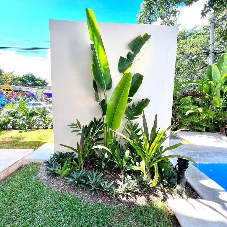 PENTHOUSE con Terraza privada super cómodo y espacioso. - Appartement - 35
