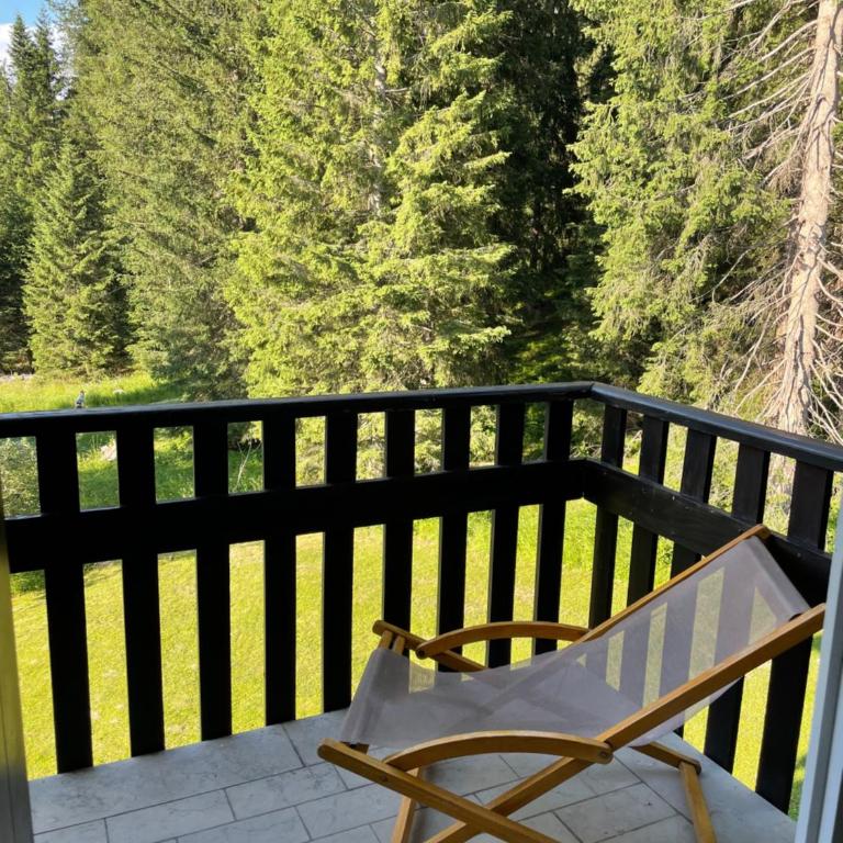 Tuckett Lodge - A large flat for families and groups of friends - Appartamento - 15