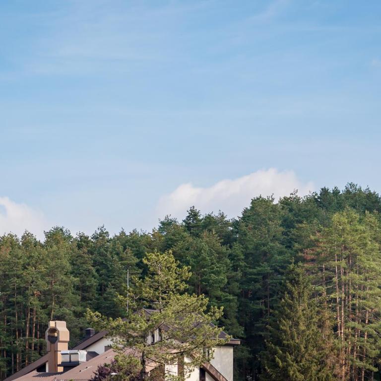 Apartman Tri sove - Apartman - 47