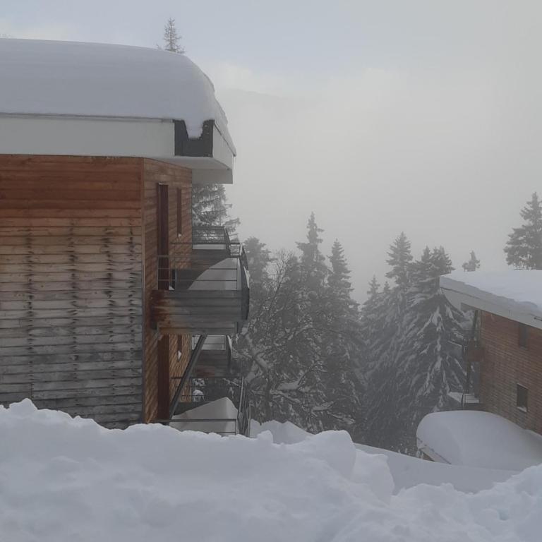 Silènes B33 à Chamrousse 1700 aux Domaines de l'Arselle - Appartement 1 Chambre - 8