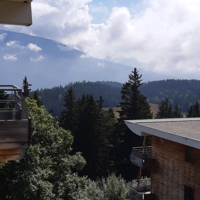 Silènes B33 à Chamrousse 1700 aux Domaines de l'Arselle - Appartement 1 Chambre - 11