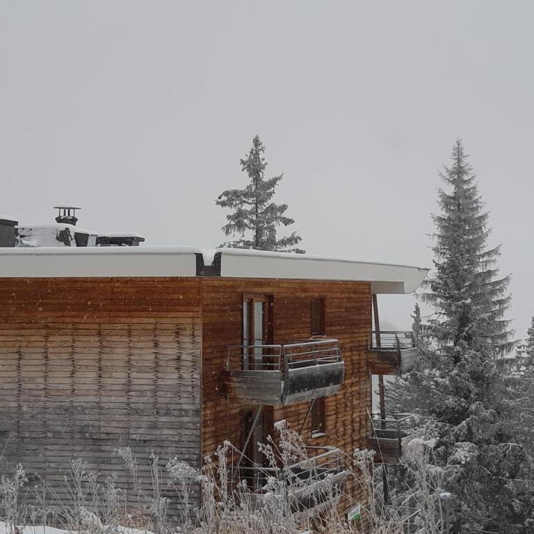 Silènes B33 à Chamrousse 1700 aux Domaines de l'Arselle - Appartement 1 Chambre - 12