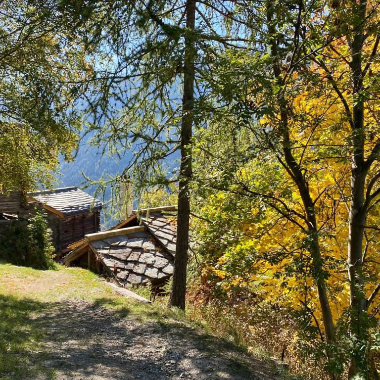 Le Raccard de Louise - Val d'Hérens, Valais - Chalet mit 1 Schlafzimmer - 23