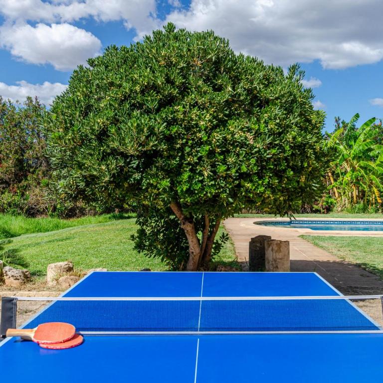 YourHouse Ca Na Teulera, villa with private pool - Vacation Home - 3
