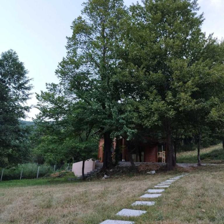 Kuća u šumi - Forest house near National park Una - Air Spa Lohovo - Comfort Quadruple Room - 7