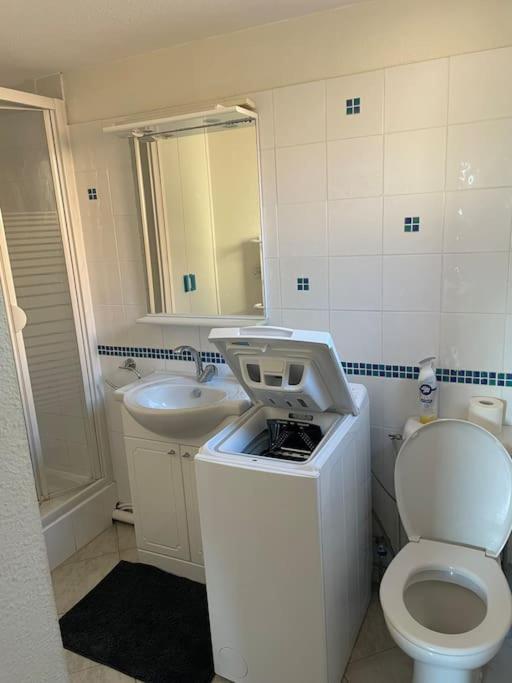 T2 port leucate proche commerce et plage - Apartamento de 1 dormitorio - 4