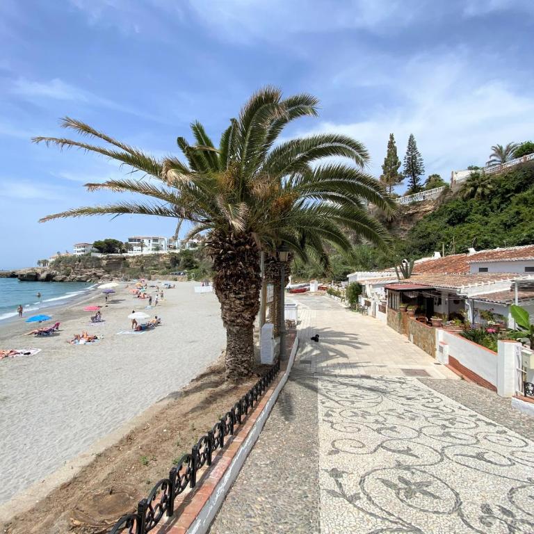 City Center 2B Casasol - Apartamento de 1 dormitorio - 24