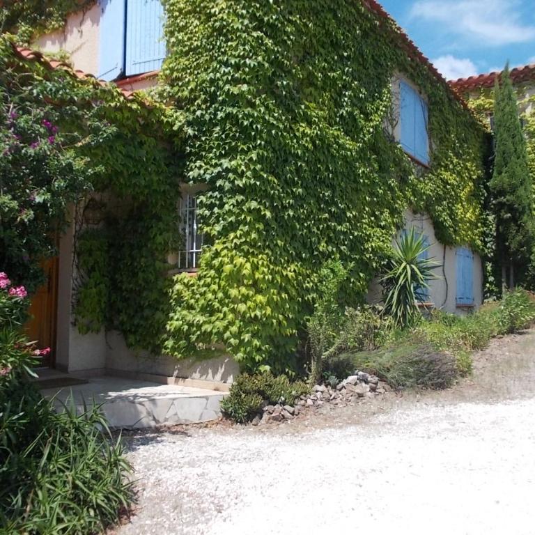 Magnifique villa piscine billard Great villa swimming pool - Villa - 10