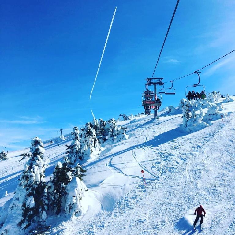 Mountain angel - Apartman sa 1 Spavaćom Sobom - 35