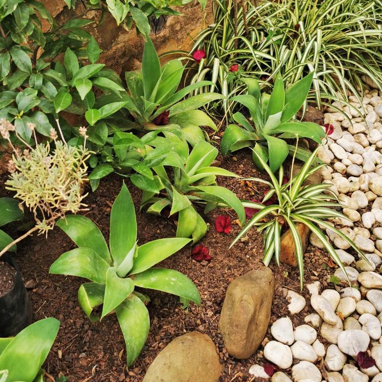 La Cabaña - Samaipata - Vacation Home - 21