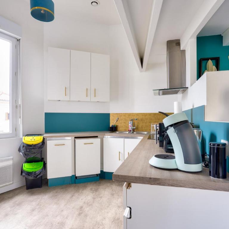 Bordeaux : superb apartment near St-Jean station - Apartment mit 2 Schlafzimmern - 4