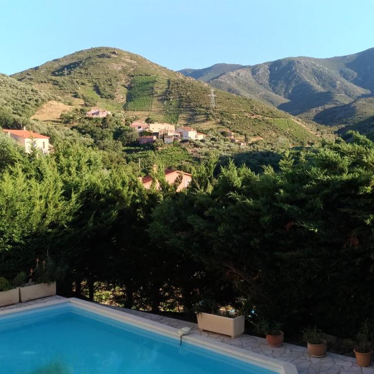 Magnifique villa piscine billard Great villa swimming pool - Villa - 23
