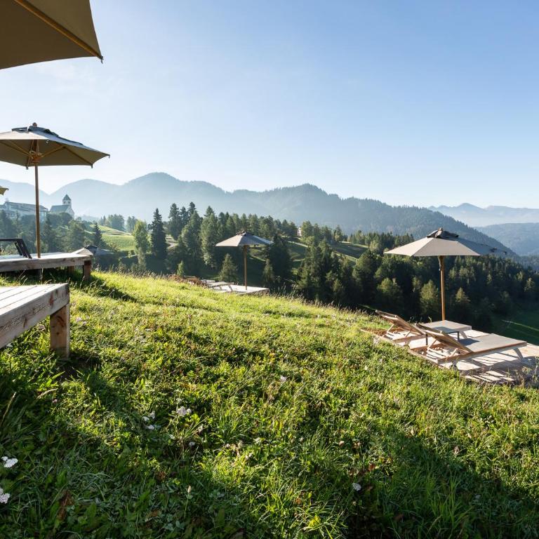 Berghütte Blockhaus - Chalet - 15