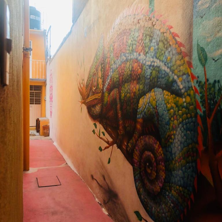 Los Nardos Hostel -pet friendly- - Standard Double Room - 3