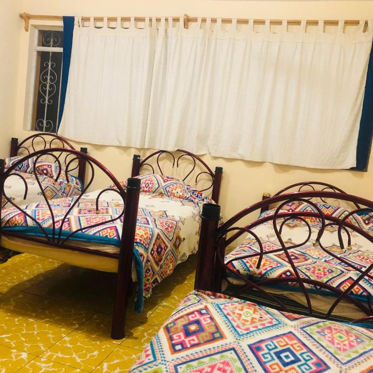 Los Nardos Hostel -pet friendly- - Quadruple Room - 4