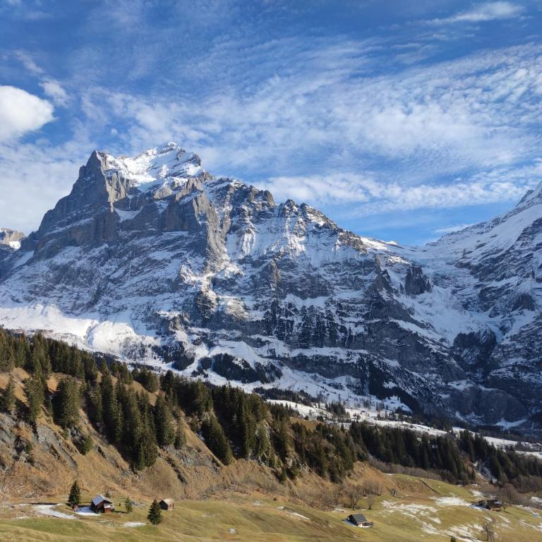 Chalet Pfyffer - Mountain view - Appartamento con 1 Camera da Letto - 12