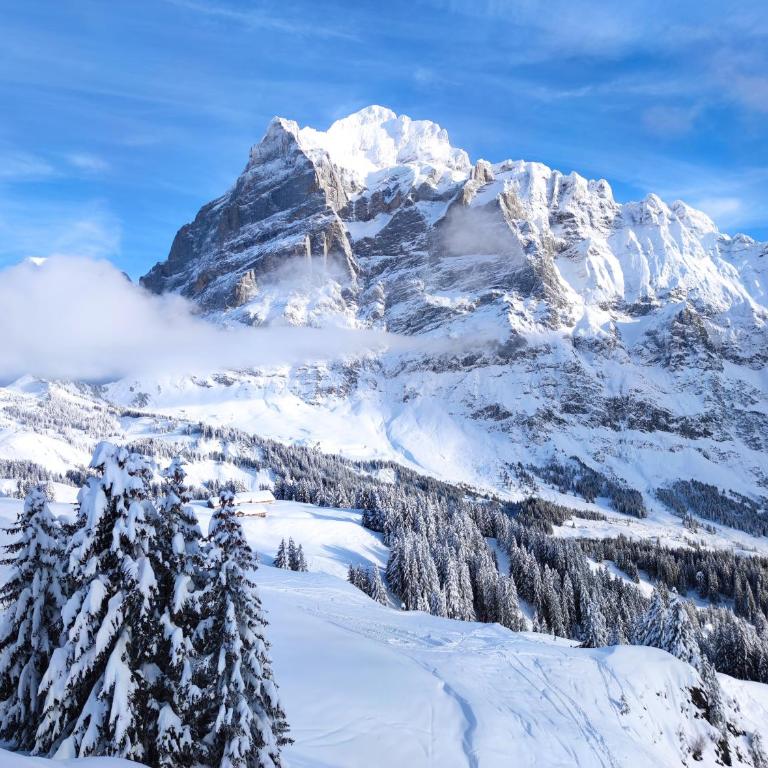 Chalet Pfyffer - Mountain view - Appartamento con 1 Camera da Letto - 21