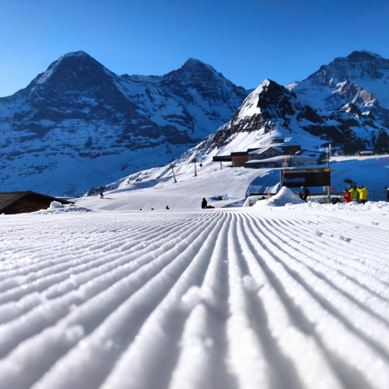 Chalet Pfyffer - Mountain view - Appartamento con 1 Camera da Letto - 19