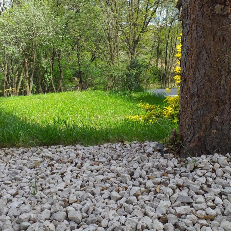 Holiday Home Tunnel Ravne - Double Room with Park View - 26