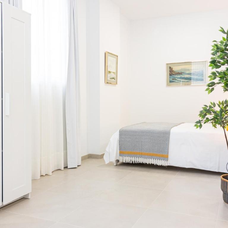 Málaga Center Flat. City Center Train Station - Apartamento - Planta baja - 14