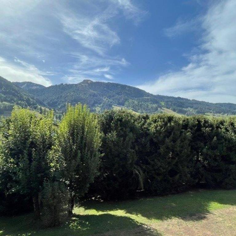 Spacieux 4 pièces avec parking et vue imprenable à Praz-sur-Arly - Appartement 3 Chambres - 23