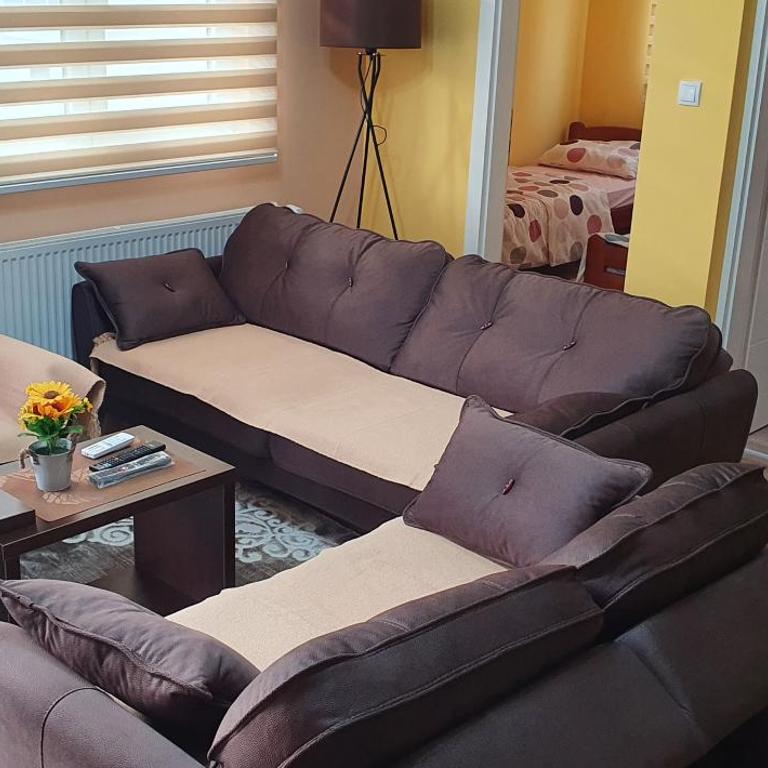 Apartman Banja Koviljaca - Apartman sa 2 Spavaće Sobe - 4