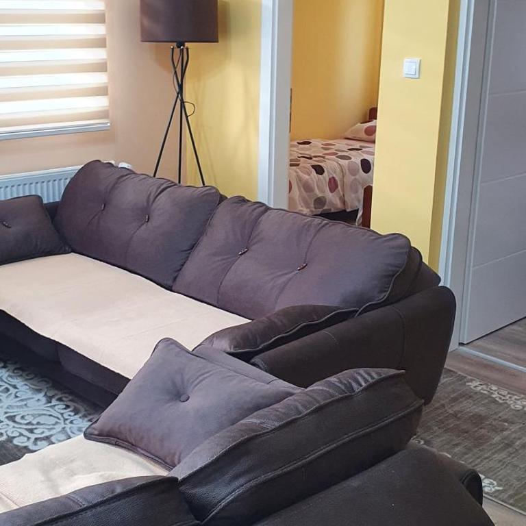 Apartman Banja Koviljaca - Apartman sa 2 Spavaće Sobe - 6