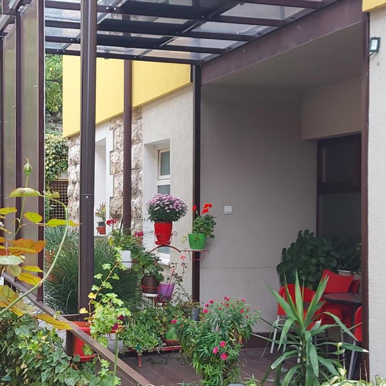 Guest House Pavlovic - Dupleks Apartman s 2 Spavaće Sobe - 7